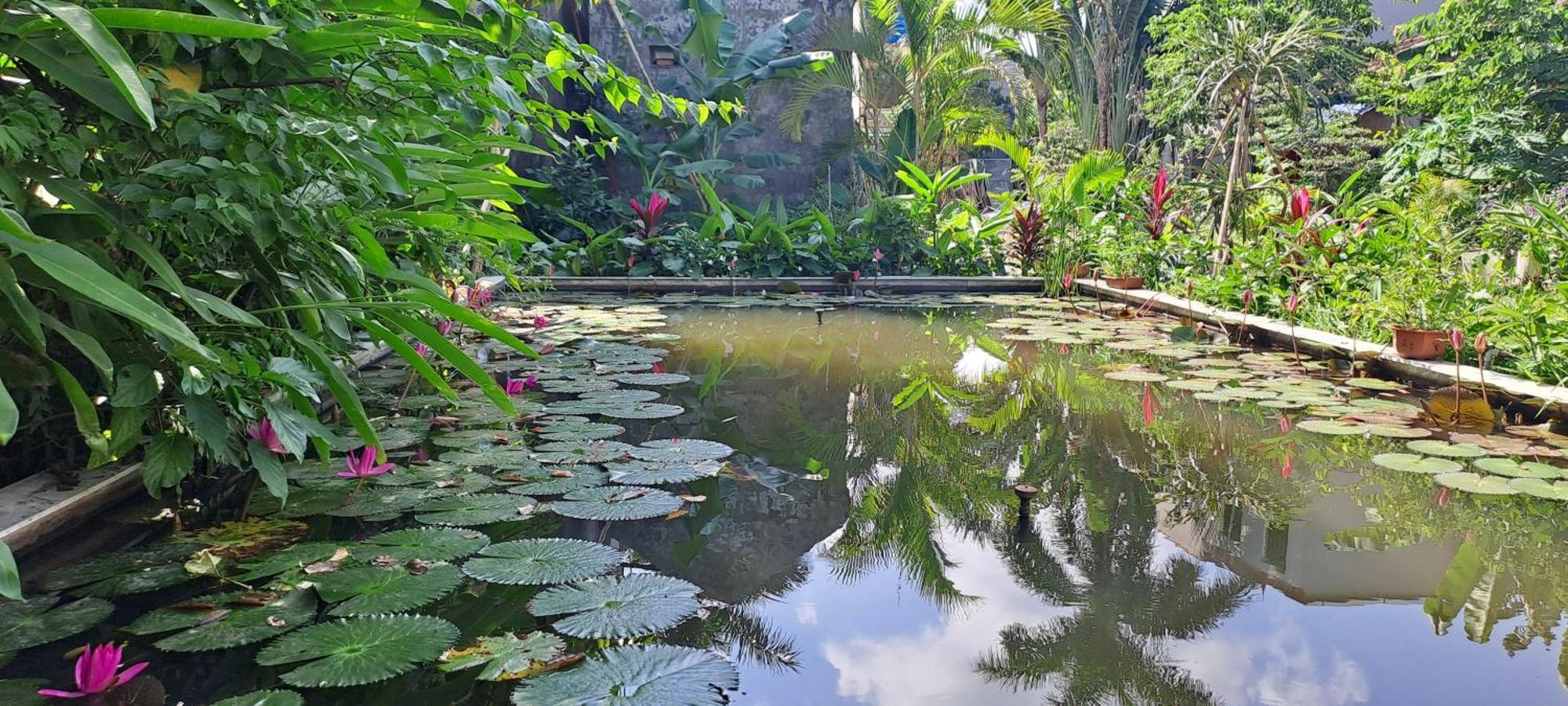 Amy House Apartment นิญบิ่ญ ภายนอก รูปภาพ